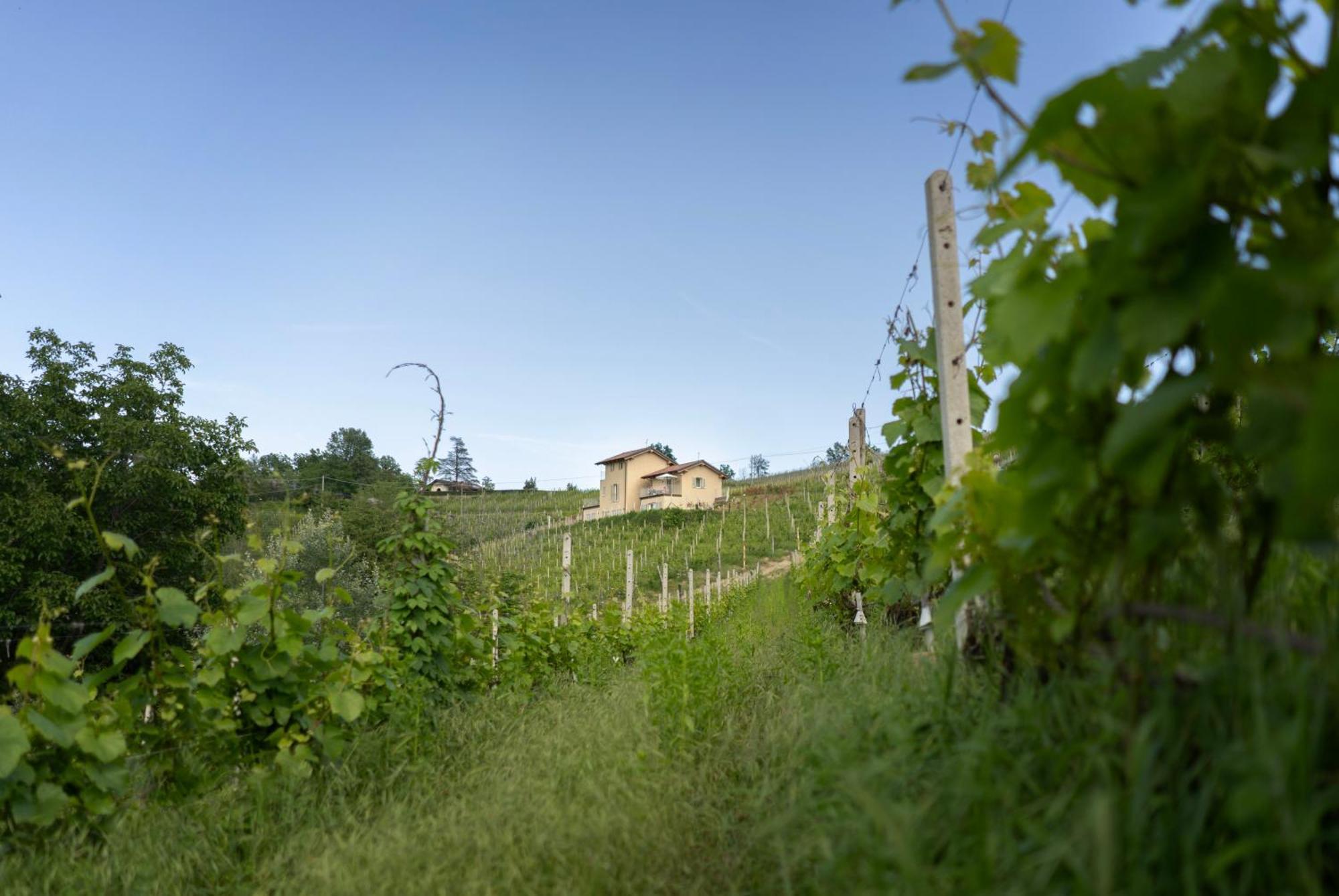 I Ciabot Di Monforte Monforte D'Alba Exterior photo
