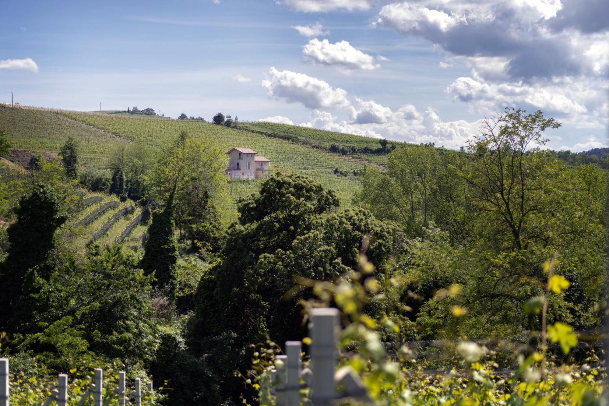 I Ciabot Di Monforte Monforte D'Alba Exterior photo